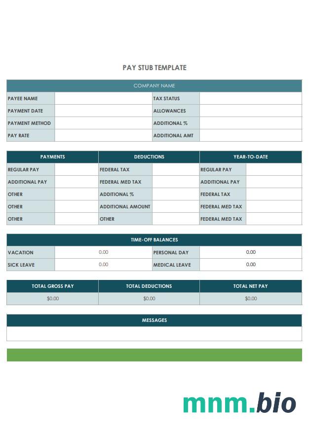 company Pay StubTemplate, version 2